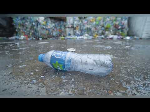 Revive S/East: Go Green-Bio & Solar for Climate
