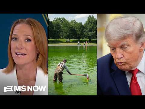 Report ties Trump's GREEN POOL GOOP to his UFC birthday bash