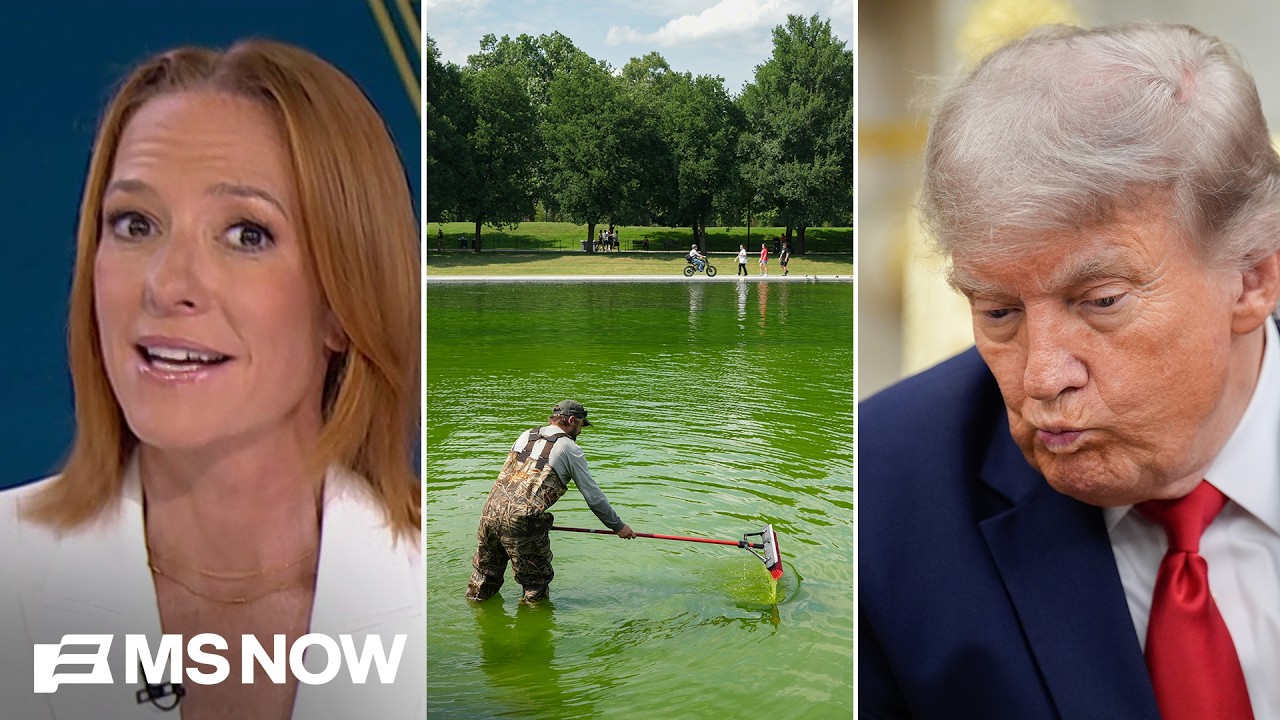 Video: NYT links Reflecting Pool algae to UFC event during Trump renovations