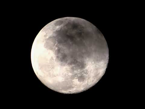 Romantic Date Under the Moonlight