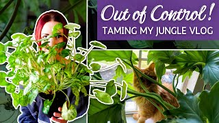 Out of Control Houseplants! | Taming My Urban Jungle Vlog