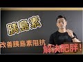『了解胰島素』抹殺你減肥效果的荷爾蒙?|改善胰島素阻抗