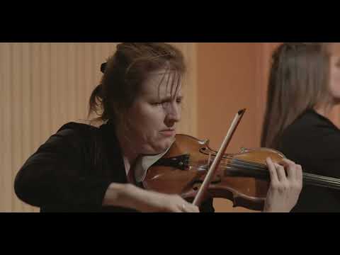 Bedřich Smetana Piano Trio No.1 in G Minor, mvt. 1 | Lions Gate Trio
