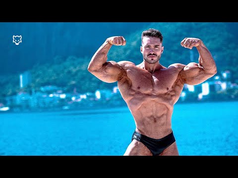 BAD WOLF 🐺 - Gabriel Zancanelli