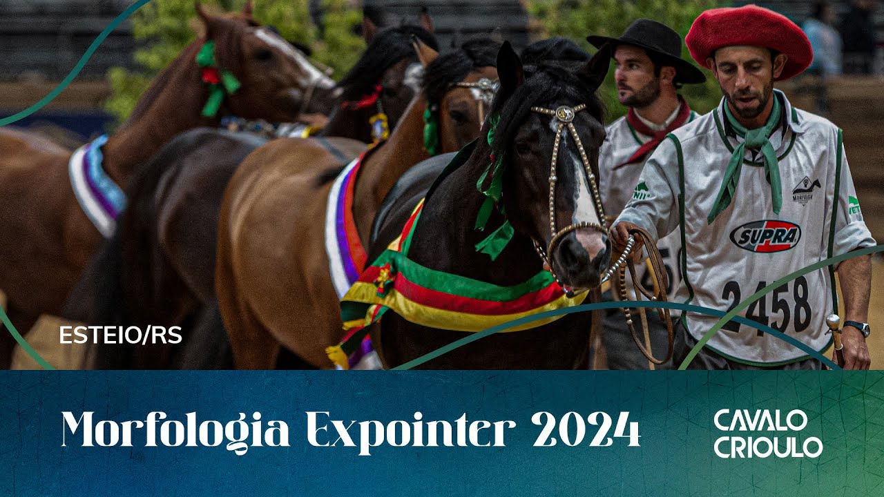 MORFOLOGIA EXPOINTER 2024 – POTRANCO MENOR E POTRANCO MAIOR - SEXTA-FEIRA – 23/08/2024 - MANHÃ