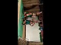 School Students Karakattam Agappaikulam Hindu School ஆன்மீக எழுச்சிப்�