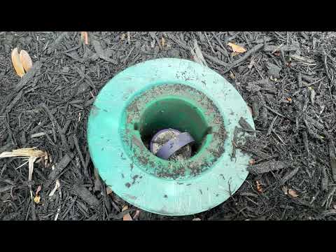Ants Take Refuge in the Termite Bait Station in Fords, NJ