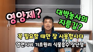 영양제? 대박농사의 지름길? 꼭 필요할때만 잘 사용합시다 엽면시비 기초원리 및 장단점