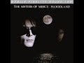 The Sisters Of Mercy - Never Land (A Fragment ...