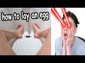 The Dumbest HowToBasic Tutorials