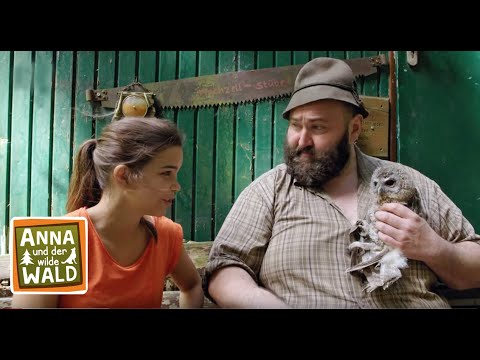 Ein Waldkauz in Not | Reportage für Kinder | Anna und der wilde Wald | #2