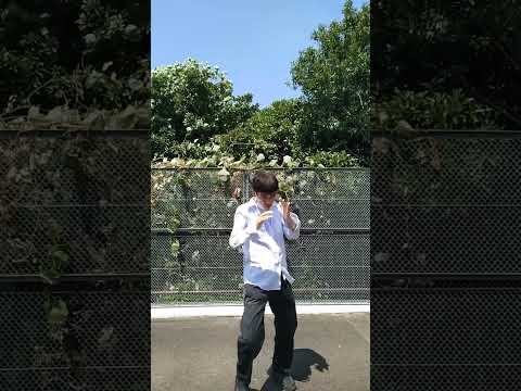 宮拳法カーフキック