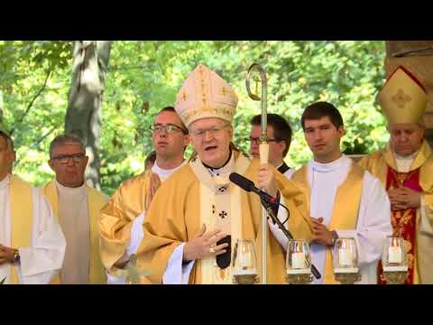 Hírek 2017. szeptember 19.