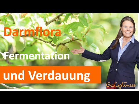 The intestinal flora, the microbiome - valuable fermentation and digestion