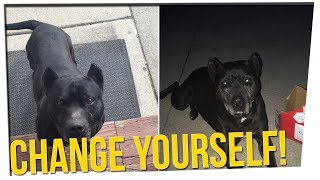 People Want to Change the Spanish Word for &quot;Black&quot; ft. DavidSoComedy