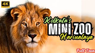 Download Lagu Kolkata Mini Zoo 2025 | First Time In Kolkata Mini Zoo |Full Tour|Harinalaya Zoo@ExplorerWorld89 Thumbnail