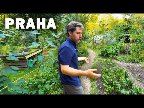 Navštívil Jsem Permakulturní Farmu Amerického Farmáře v Praze