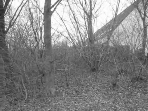 Trailer ''De Suite'' van Suzanne Vermeer.