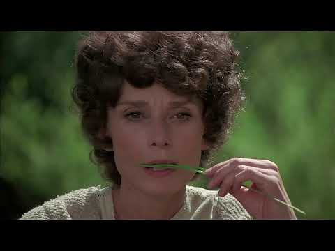 Robin and Marian 1976 Audrey Hepburn Sean Connery scene remastered 4k