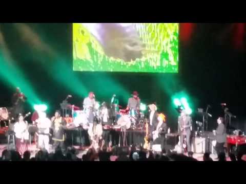 William Onyeabor music with Hot Chip, Bloc Party, LCD Soundsystem and David Byrne