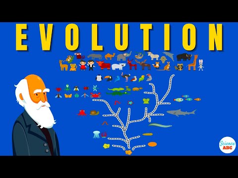 Darwin's theory of Evolution: A REALLY SIMPLE and Brief Explanation