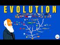 Darwin's theory of Evolution: A REALLY SIMPLE and Brief Explanation