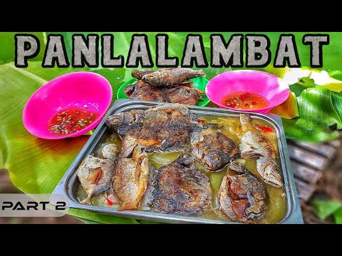 EP874-P2 - Panlalambat ng Isda