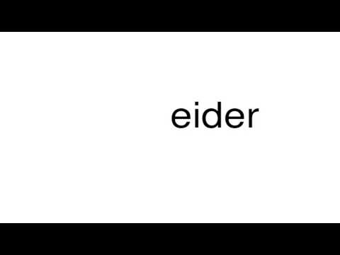 How to pronounce eider