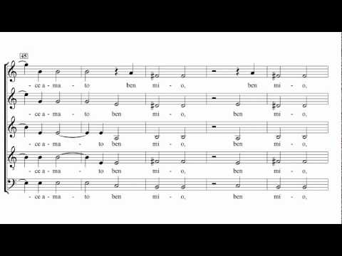 Carlo Gesualdo - Sesto libro di madrigali: XIII. Ardita zanzaretta