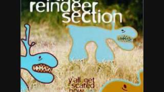 The Reindeer Section - Raindrop