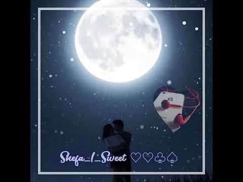 Shakura String Band_ Shefa i Sweet 🎶🎵♡♡♡🖤