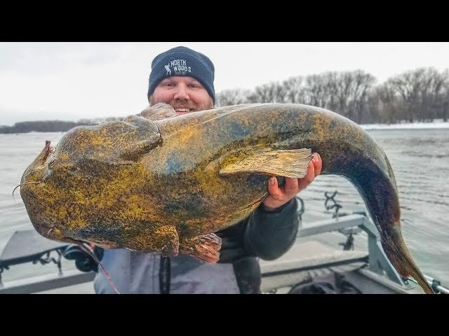 Unexpected FISH SNAGGED while Walleye Fishing!!!