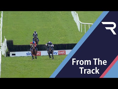 Still unbeaten! ENVOI ALLEN wins the Killiney Novice Chase at Punchestown after dramatic first fence