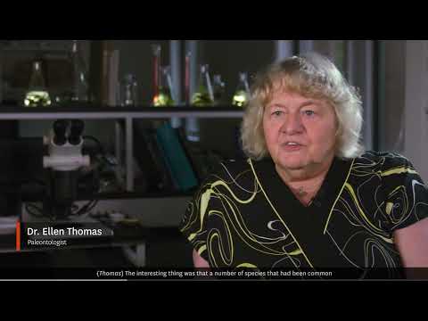 Earth’s Ancient Fever Indicates Earth’s Future Fever