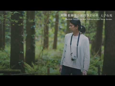 えびねの咲く森～町田薬師池公園四季彩の杜 プロモーションムービー～