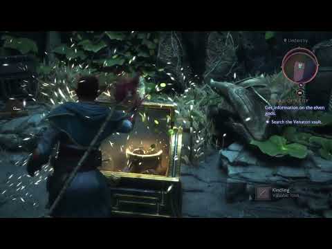 Dragon Age: The Veilguard - P285