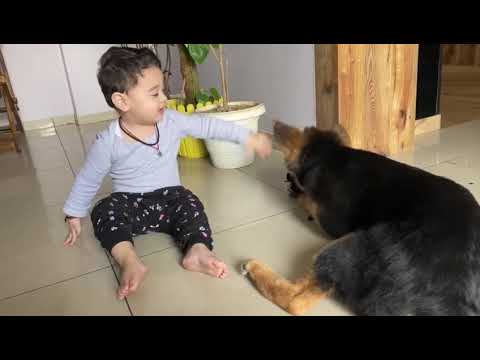 Keyaan playing with thor