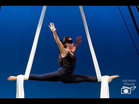 Athena - Silks Novice 2nd Place - 2019 Florida Pole Fitness Championship