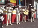 Promotional video thumbnail 33 for Mariachi Nuevo Mexico