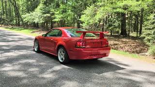 2000 Ford Mustang SVT Cobra R Walk Around
