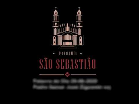 Palavra do Dia 29 06 2020 Padre Itamar José Zigowski scj