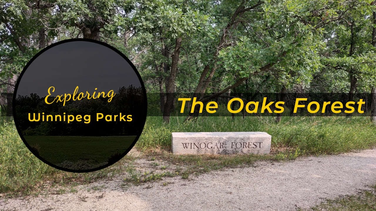 Exploring Winnipeg Parks - Oaks Forest Walkthrough