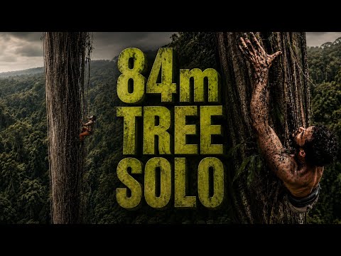 Solo Meter