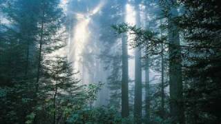 Para Soñar - Luis Alberto Spinetta -