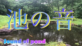 ［ASMR］池の音・自然音〈遠野市附馬牛町〉　　sound of pond