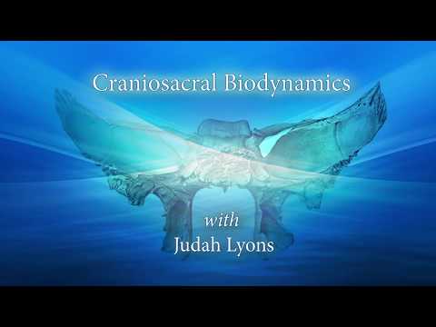 Lyons Institute - Craniosacral Biodynamics - Introduction