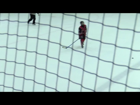 Finland Lions Cup U14 AA/AAA Final - KJK vs Cowboys