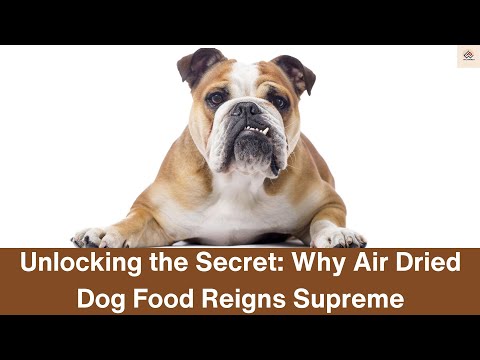 Unlocking the Secret: Why Air Dried Dog Food Reigns Supreme