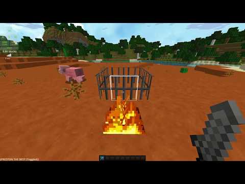 1,000 DEGREE Stone Sword IN Minecraft