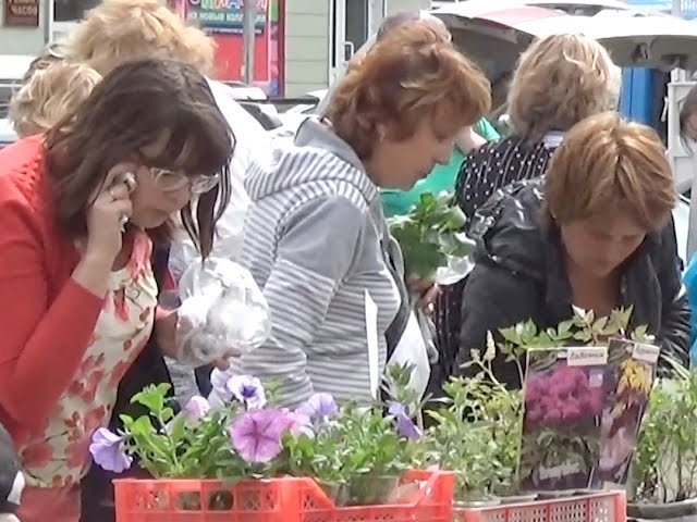 Вот и познакомились